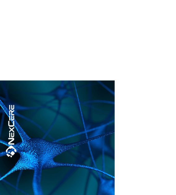 image-layers_2-1-NexCere1